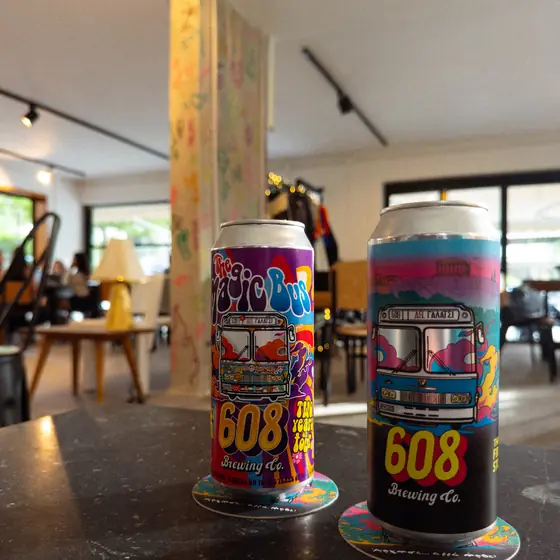 Two cans of 608 beer on a table in the room